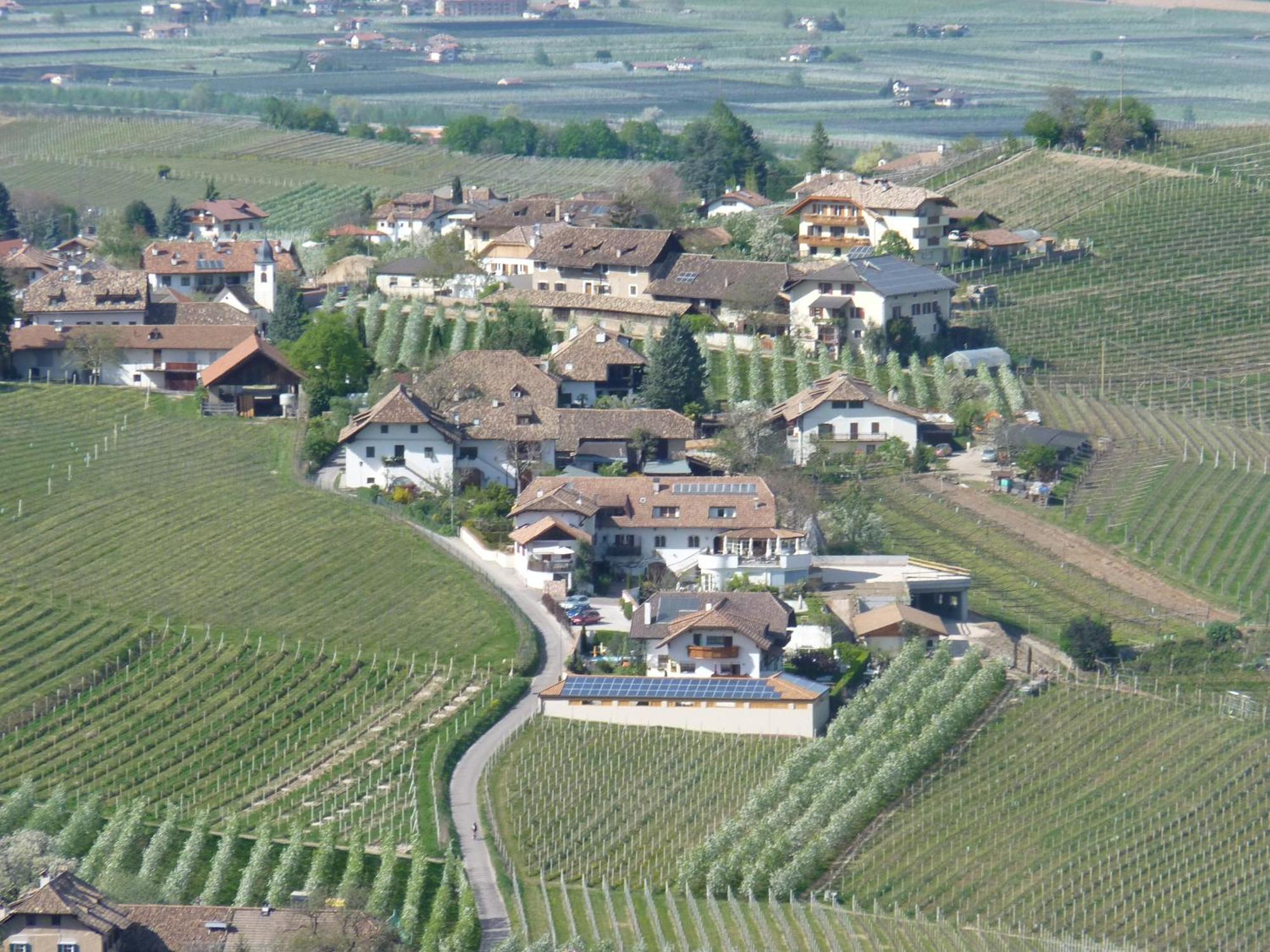 Ferienwohnungen Lanserhof Appiano Sulla Strada Del Vino Exterior photo
